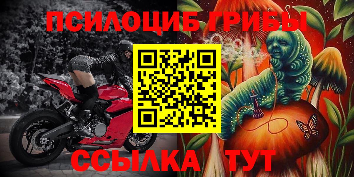 Псилоцибиновые грибы мухоморы Алушта