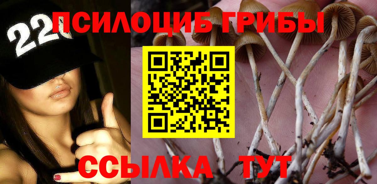 Псилоцибиновые грибы ЛСД  Вход с VPN  Алушта  Галлюциногенные грибы мухоморы 