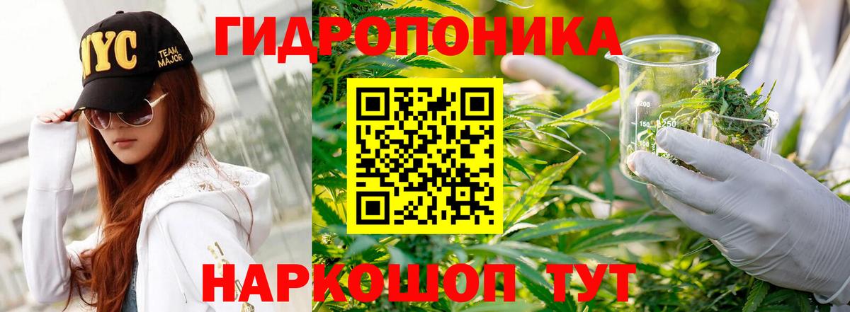 Бошки марихуана Ganja  Вход с VPN  Алушта  Каннабис тримм 